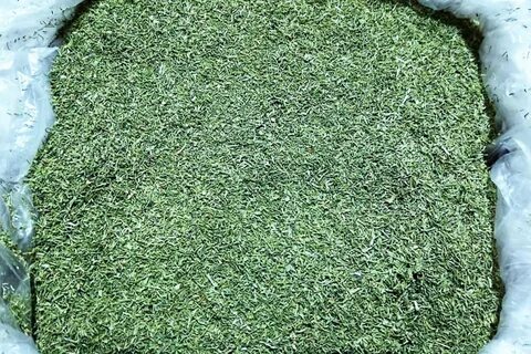 تصویر 2 از خرید عمده شوید خشک بسته‌بندی شده + ارسال فوری